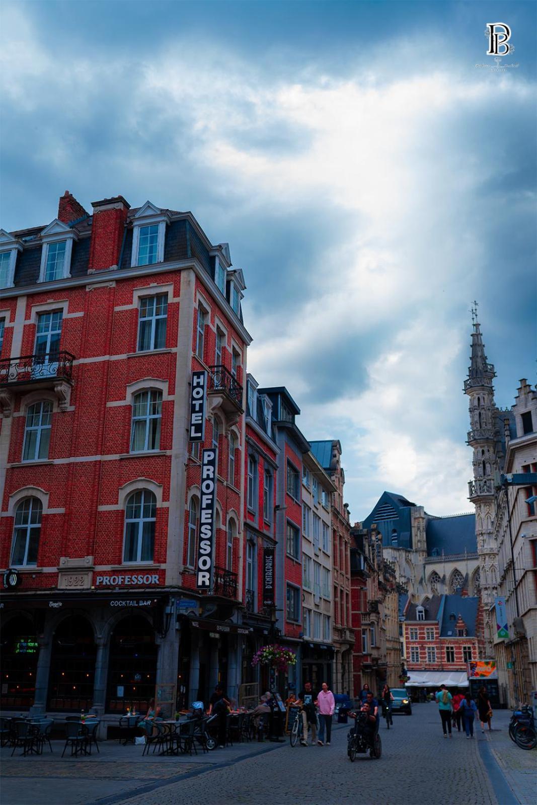 Hotel Professor Leuven Centrum Экстерьер фото