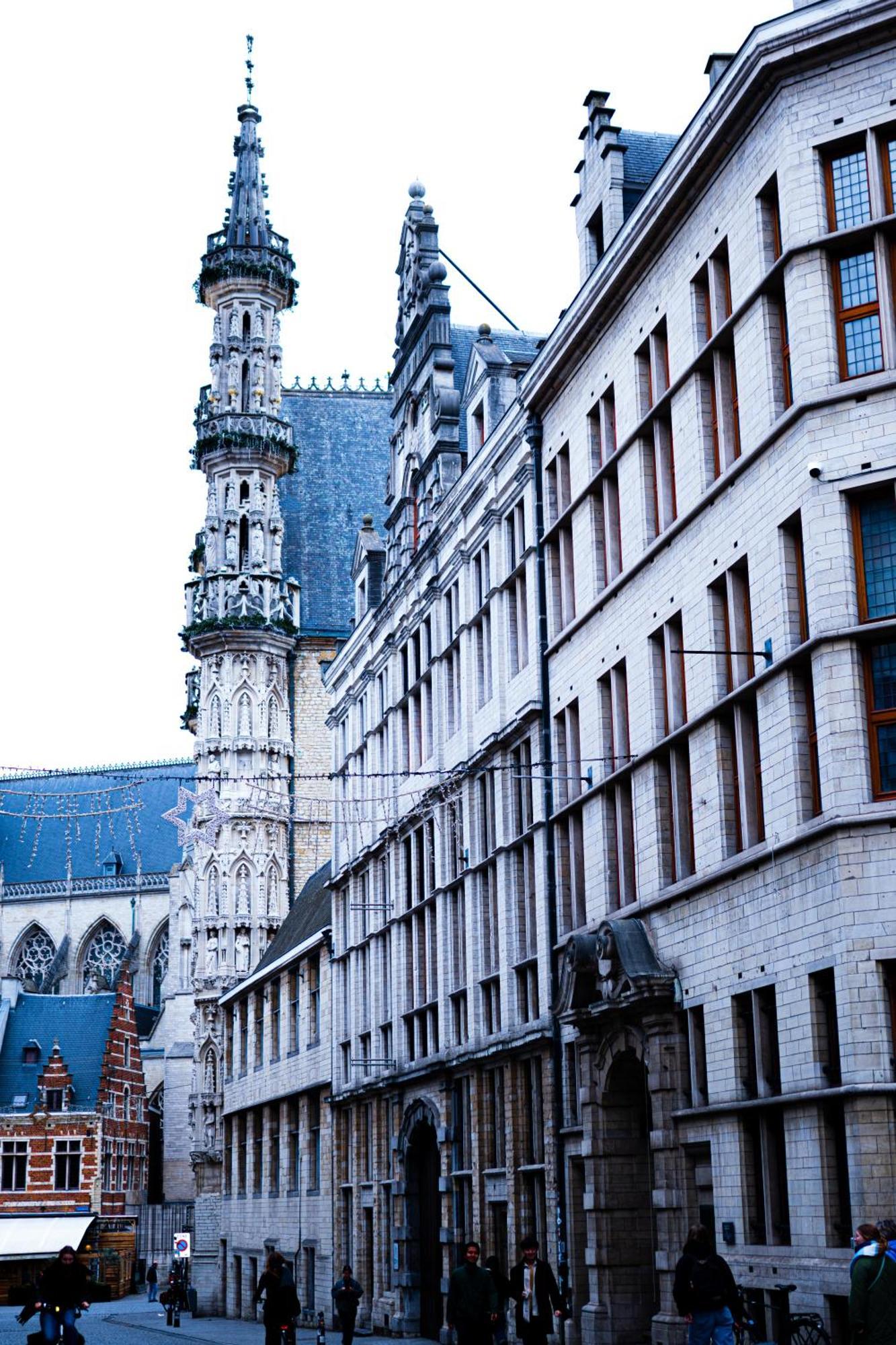 Hotel Professor Leuven Centrum Экстерьер фото